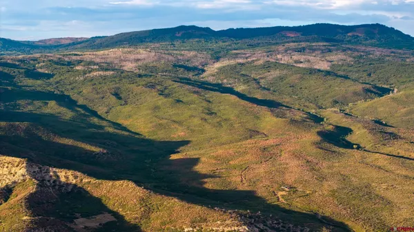 $975,000 | 0 Currant Crk Road, Cedaredge, CO 81413