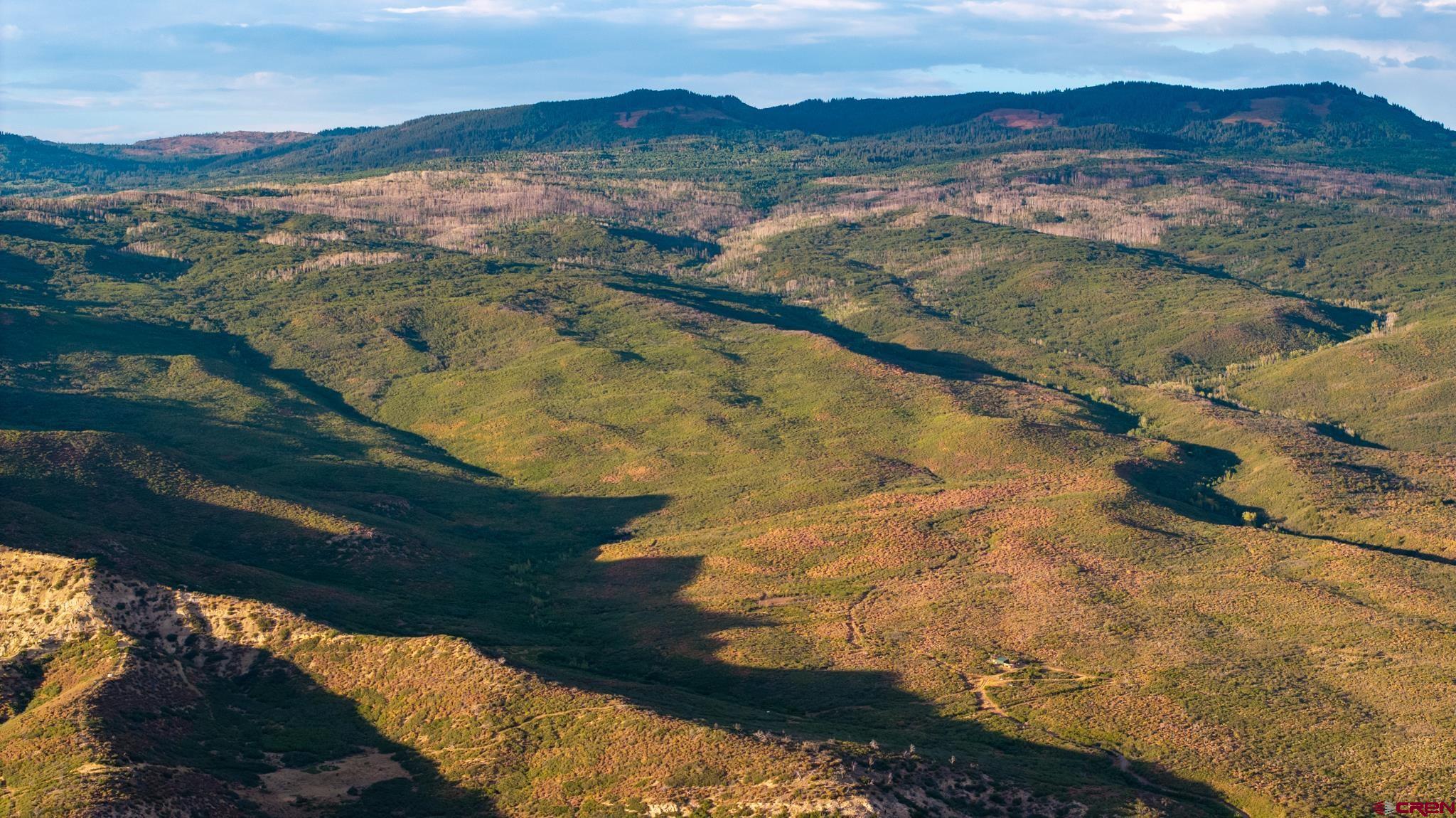 0 Currant Crk Road Cedaredge, CO 81413 - Photo 34 of 35