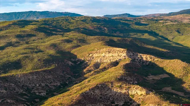 $975,000 | 0 Currant Crk Road, Cedaredge, CO 81413