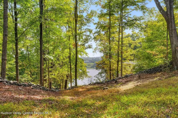 a view of a lake with a park