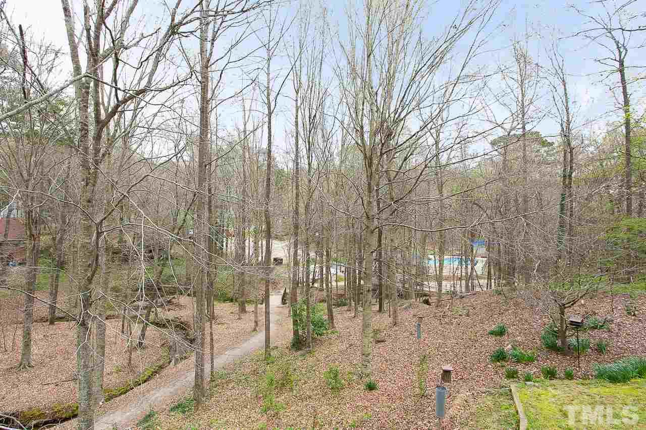 6324 Rushingbrook Drive Raleigh, NC 27612 - Photo 16 of 17 a backyard of a house with lots of green space and fog