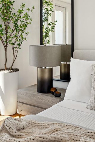 a living room with a couch and a potted plant