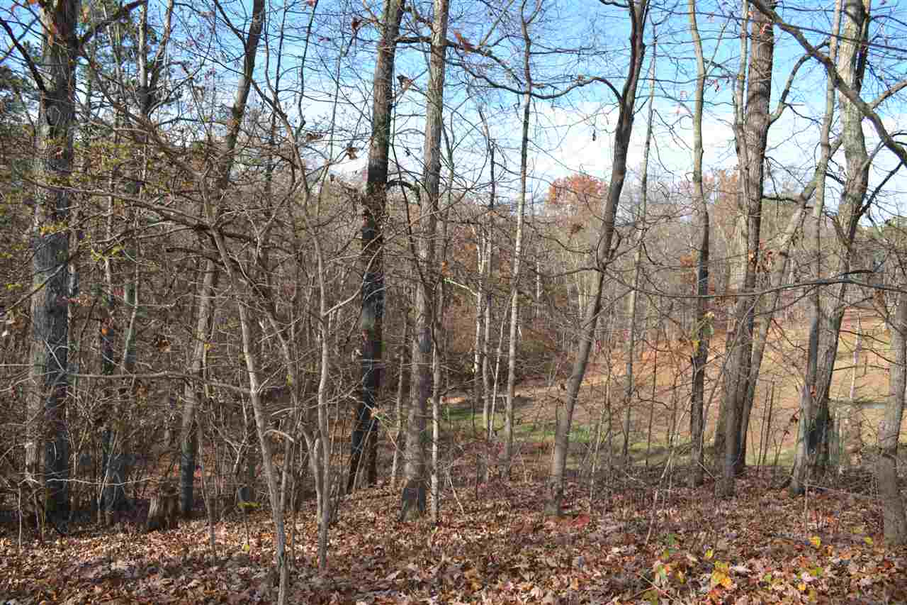 741 Wilda Road Stuarts Draft, VA 24477 - Photo 50 of 50 Gallery Image 50