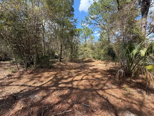 $70,000 | 980 North Conant Avenue, Crystal River, FL 34429