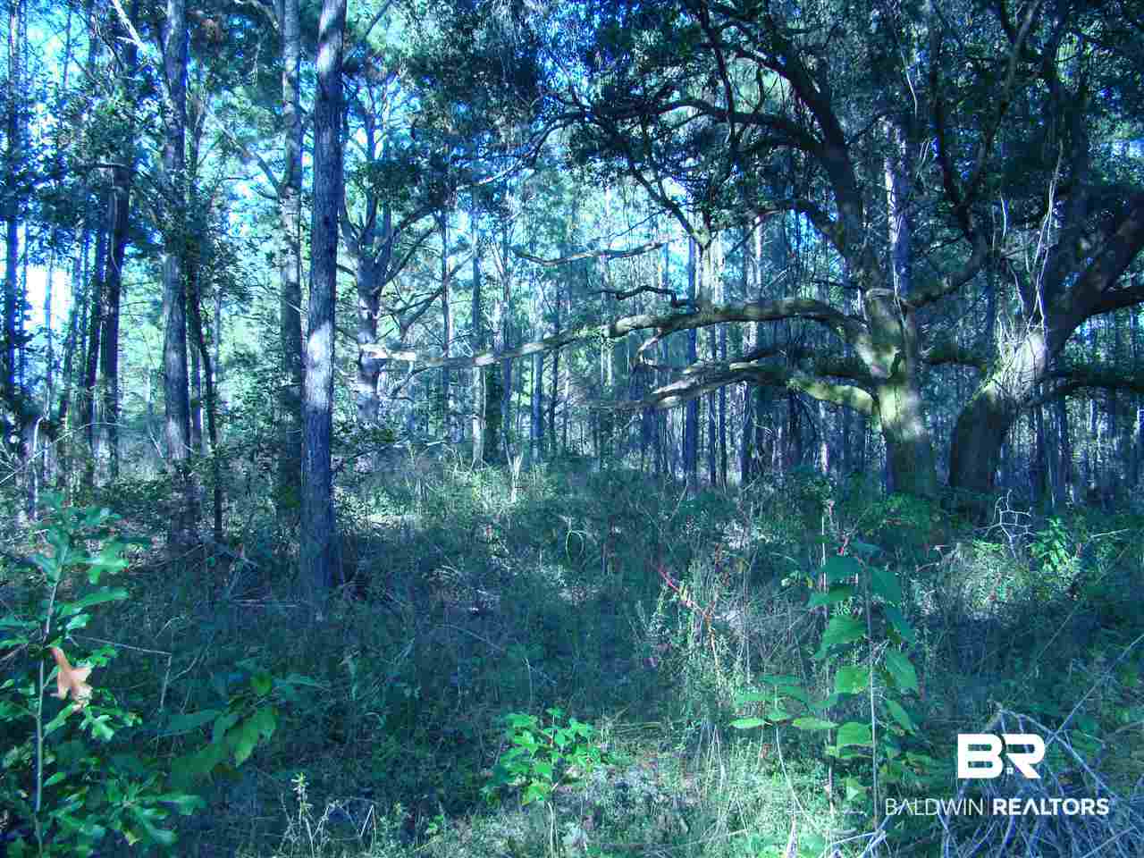 0 Lilly Wilson Lane Bay Minette, AL 36507 - Photo 4 of 9