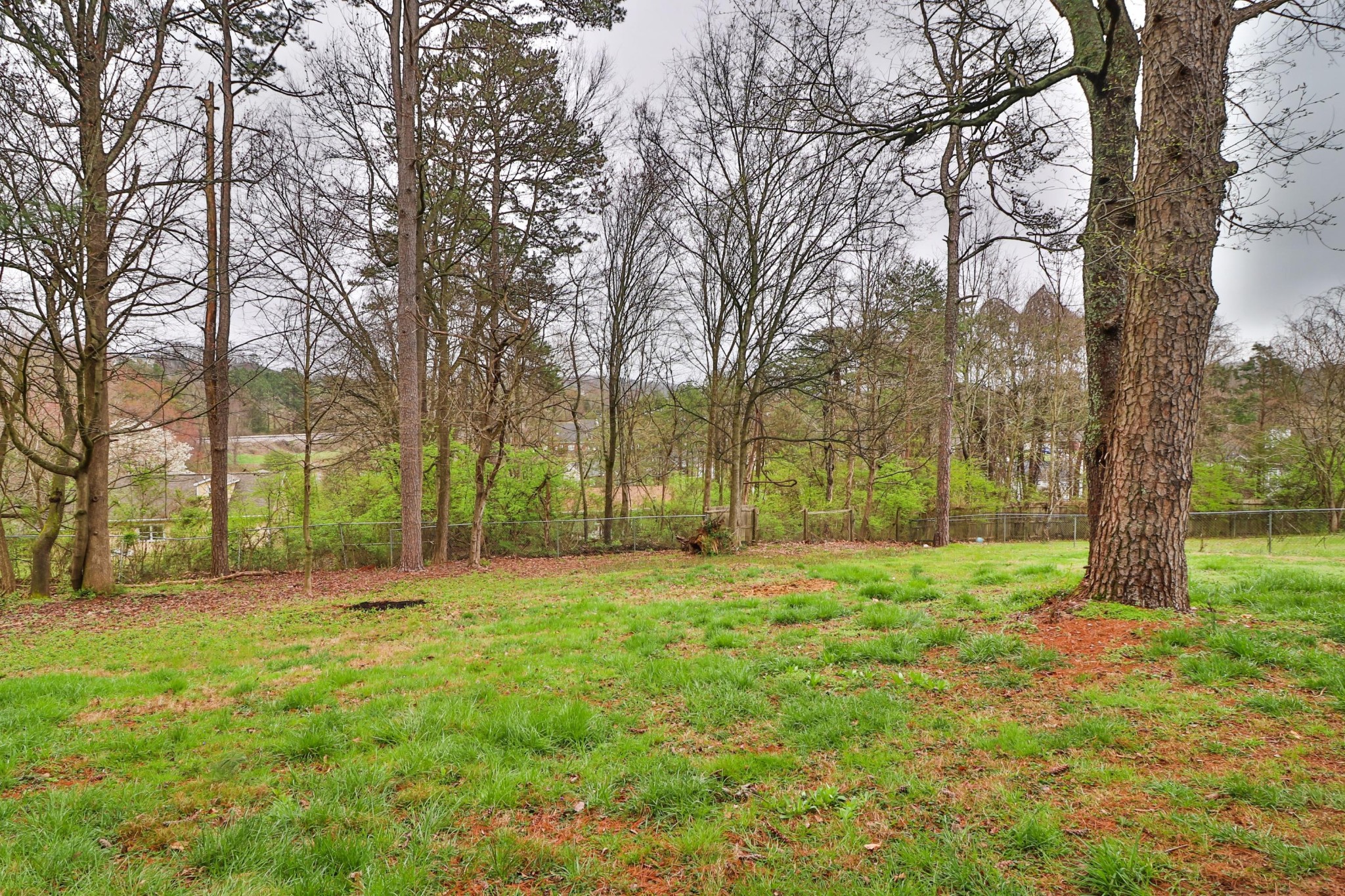 2212 Roundtree Road Knoxville, TN 37923 - Photo 24 of 27