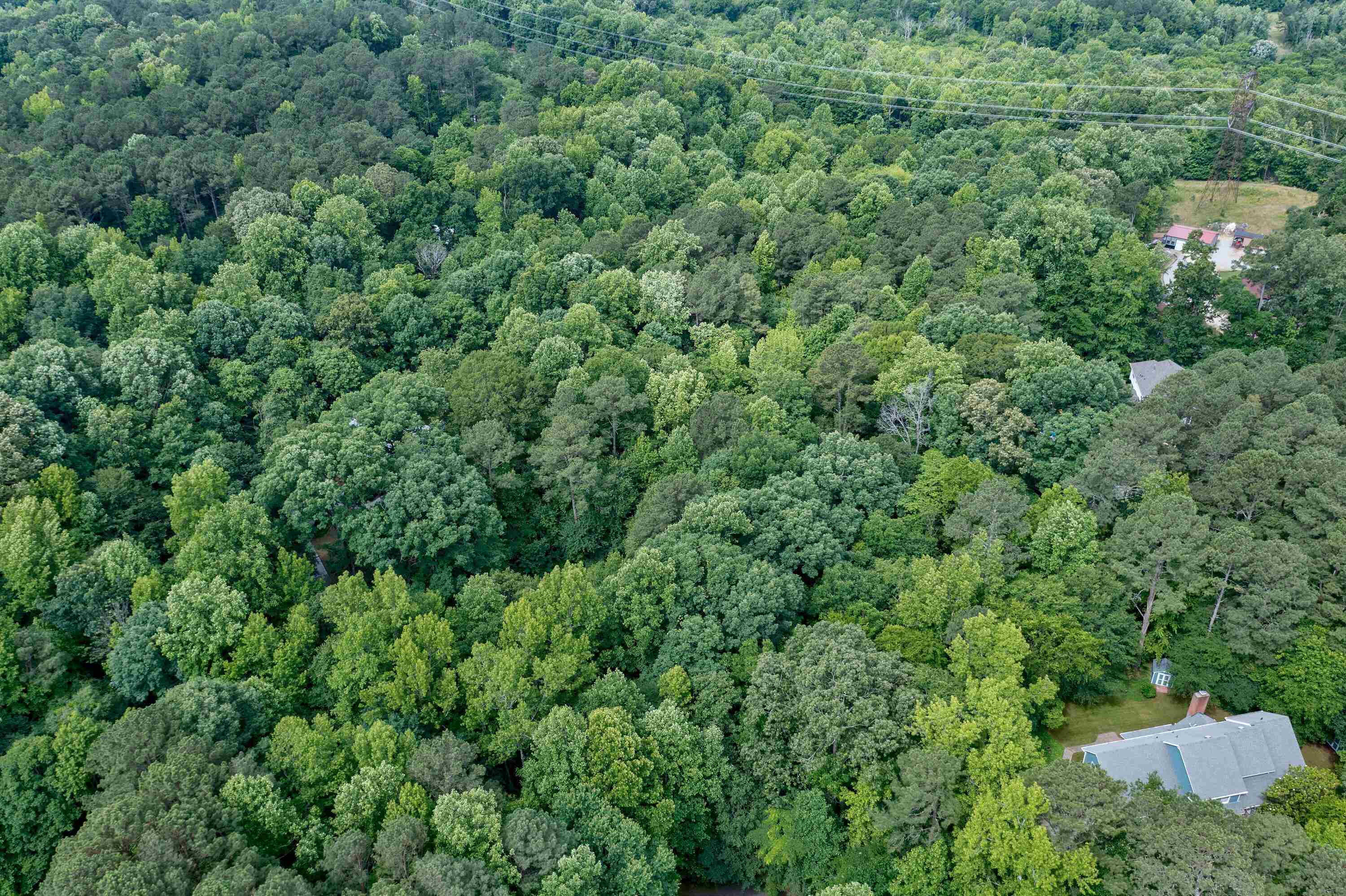 0 Wildrock Circle Raleigh, NC 27610 - Photo 10 of 11 Photo 9