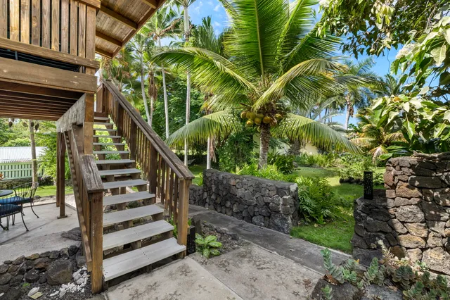 a view of a yard with plants and wooden fence