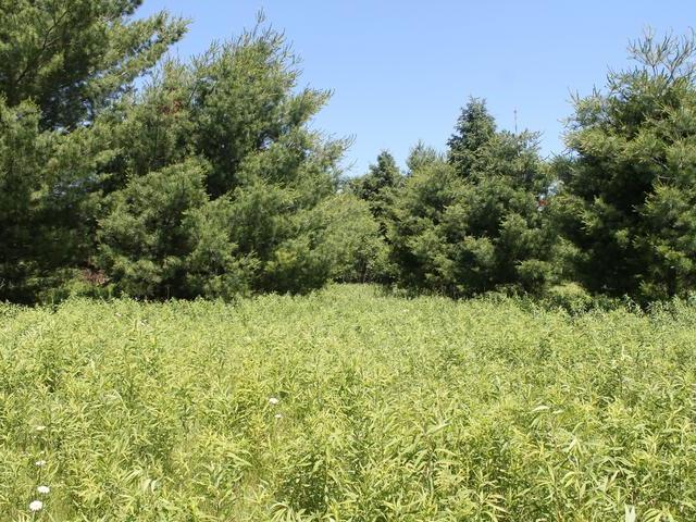 20 Clearview Road Ogema, WI 54459 - Photo 2 of 20 Gallery Image 2