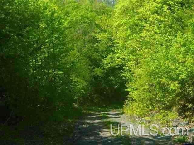 Tbd Menge Creek Road Lanse, MI 49908 - Photo 7 of 9
