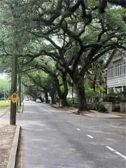 $259,000 | 8000 St Charles Avenue, Unit C, New Orleans, LA 70118