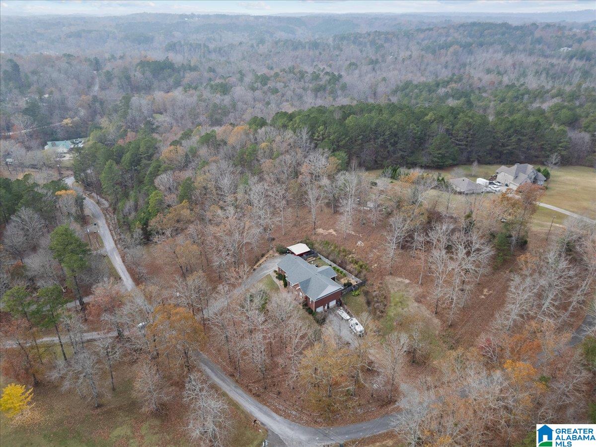 258 Lakeshore Loop Oneonta, AL 35121 - Photo 7 of 48