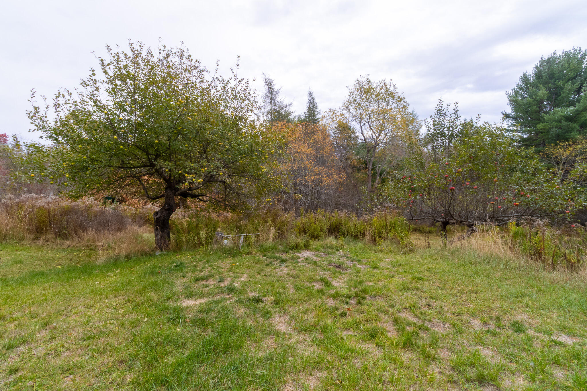425 Saco Road Columbia Falls, ME 04623 - Photo 48 of 69 94