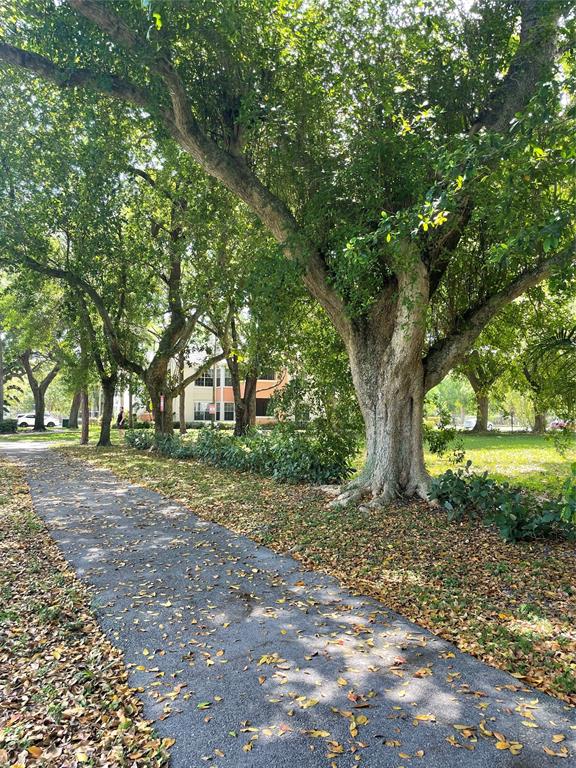 1030 Crystal Way, Unit 104 Delray Beach, FL 33444 - Photo 32 of 44 a view of a tree in the middle of a yard