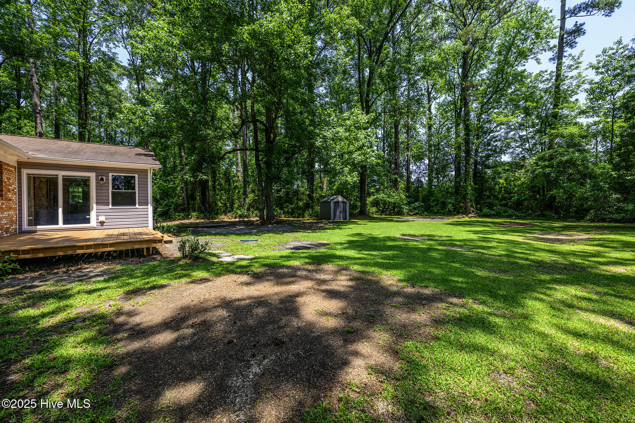 429 Swiss Road New Bern, NC 28560 - Photo 39 of 47 Backyard