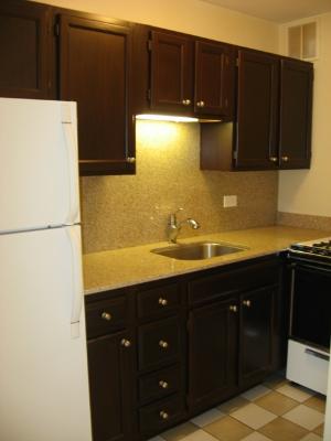 1 East Scott Street, Unit 1105 Chicago, IL 60610 - Photo 4 of 11