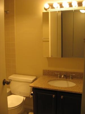 1 East Scott Street, Unit 1105 Chicago, IL 60610 - Photo 7 of 11