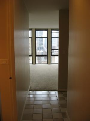 1 East Scott Street, Unit 1105 Chicago, IL 60610 - Photo 9 of 11