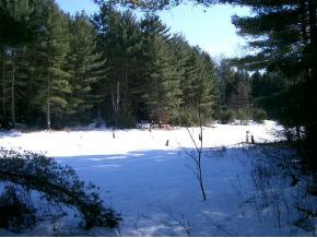 0 Skunk Hollow Road Jericho, VT 05465 - Photo 1 of 1 Gallery Image 1