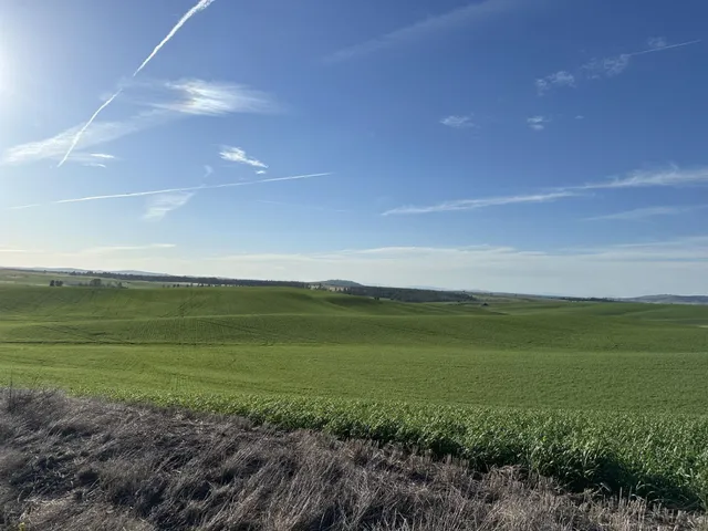 $750,000 | Unassigned Address Road, Rosalia, WA 99170