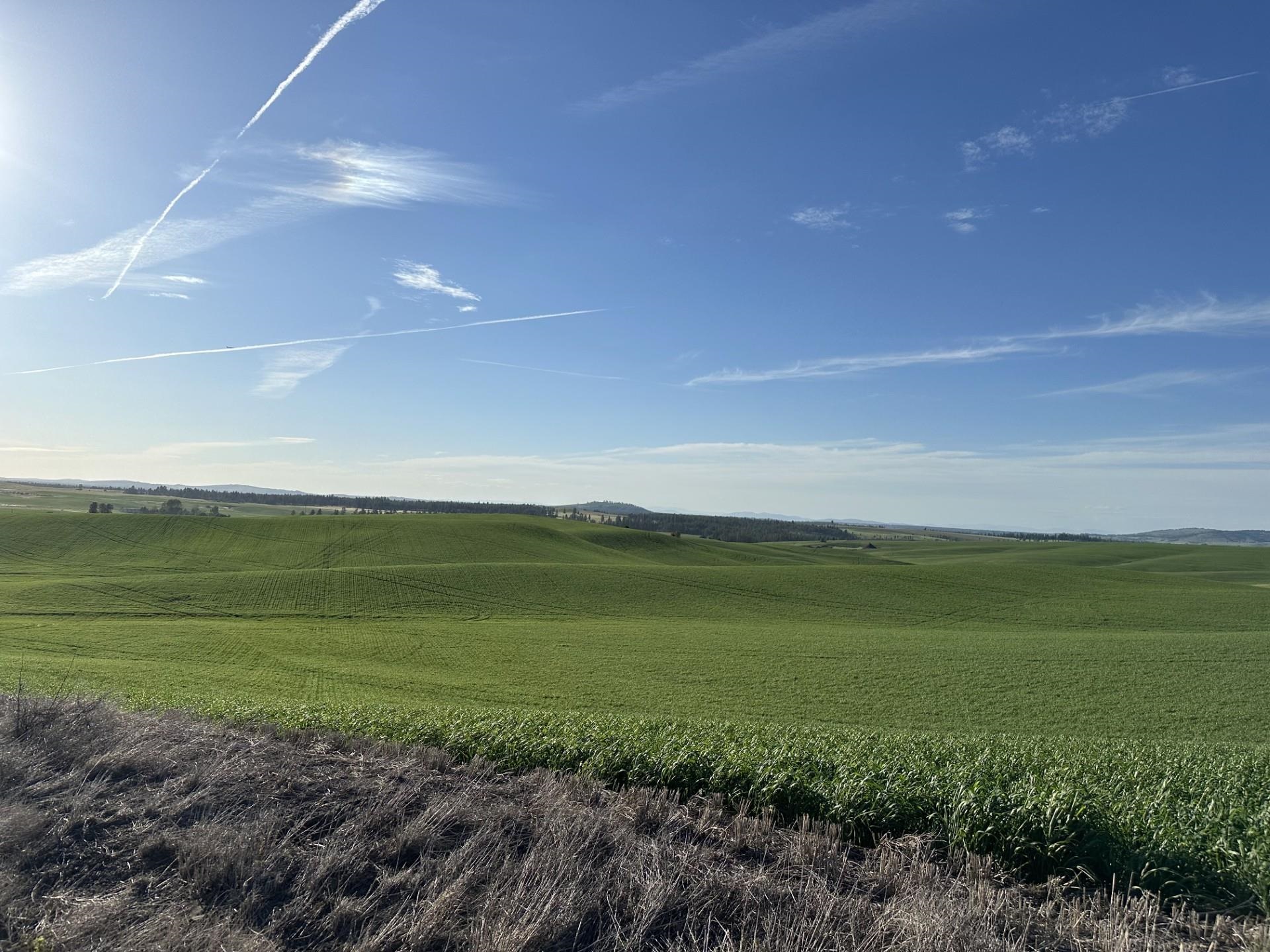 Unassigned Address Road Rosalia, WA 99170 - Photo 2 of 5