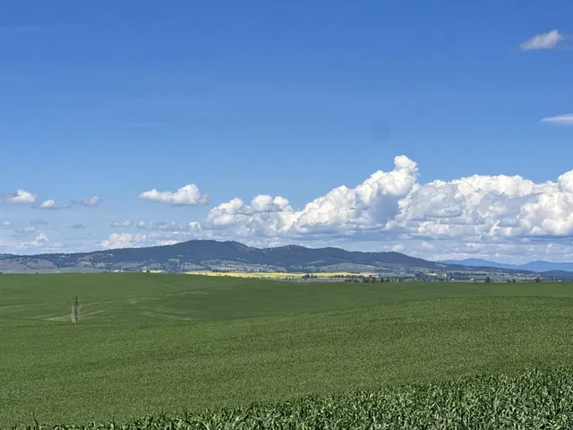 $750,000 | Unassigned Address Road, Rosalia, WA 99170