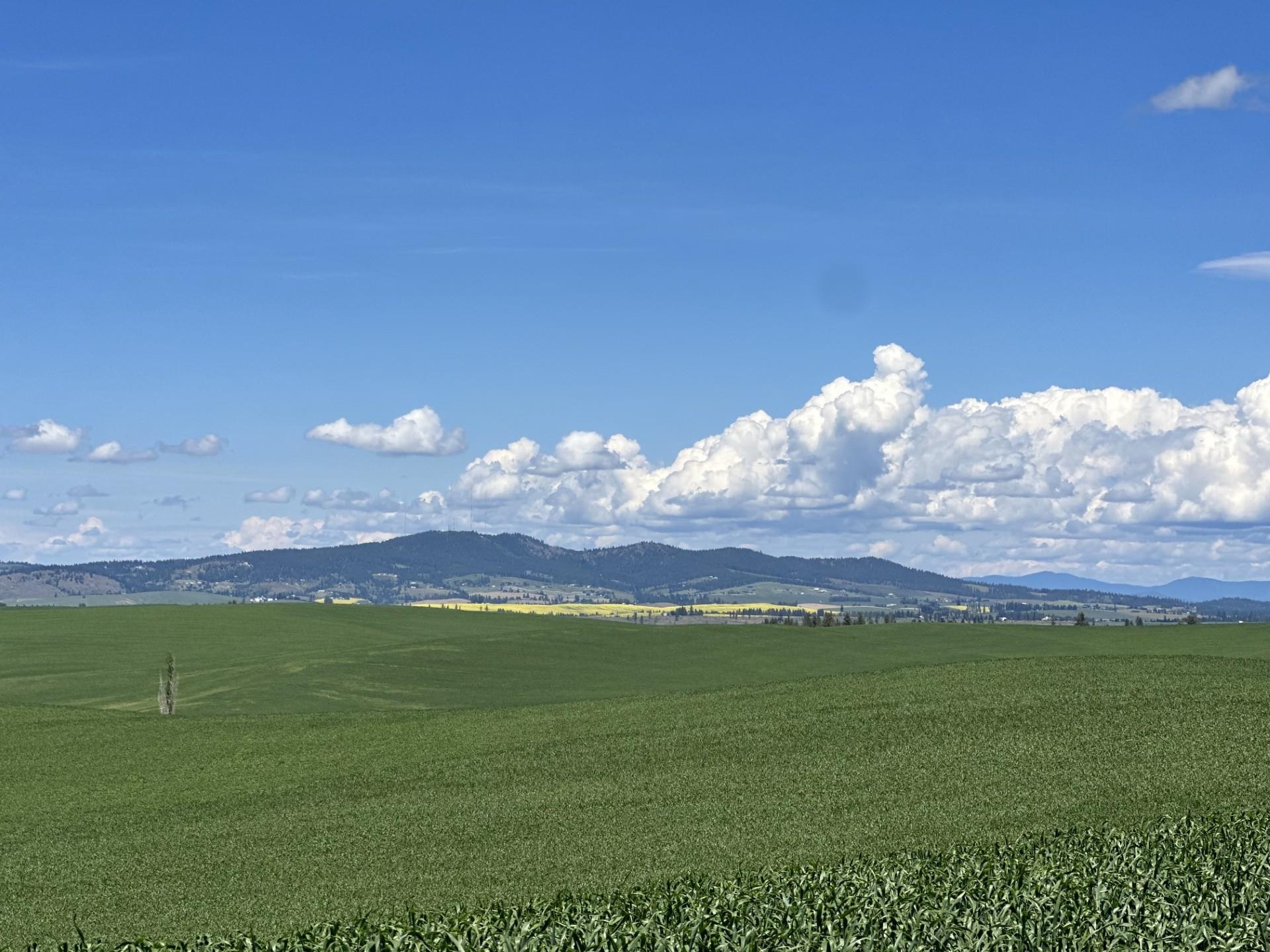 Unassigned Address Road Rosalia, WA 99170 - Photo 3 of 5