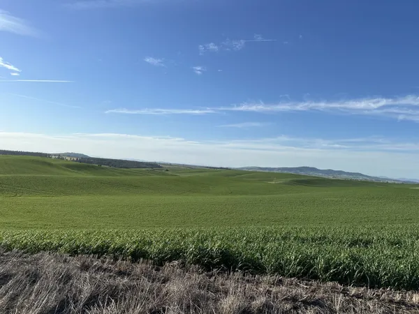 $750,000 | Unassigned Address Road, Rosalia, WA 99170