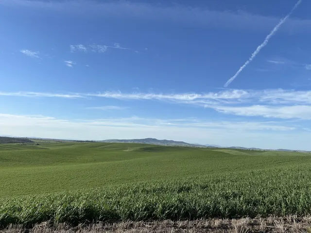 $750,000 | Unassigned Address Road, Rosalia, WA 99170