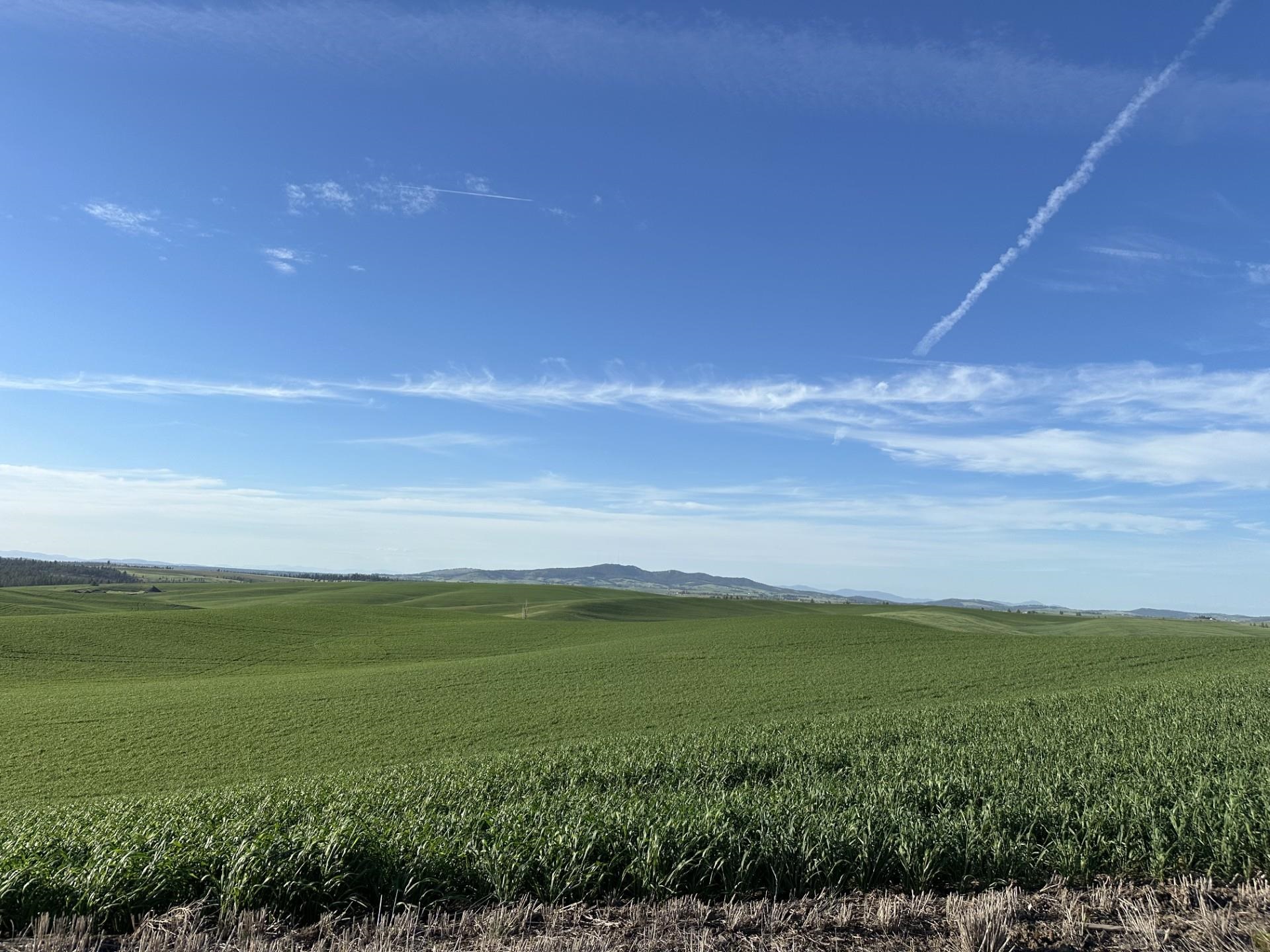 Unassigned Address Road Rosalia, WA 99170 - Photo 5 of 5