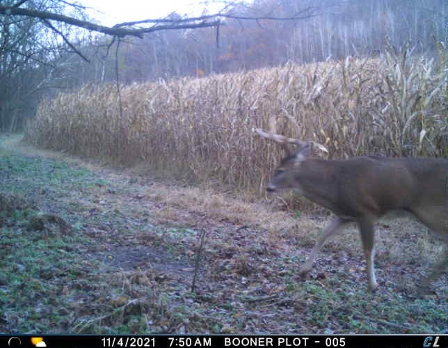 W1310 Earney Road Alma, WI 54610 - Photo 12 of 48 Gallery Image 12