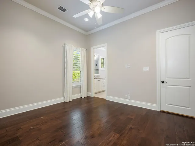a view of a park with large trees