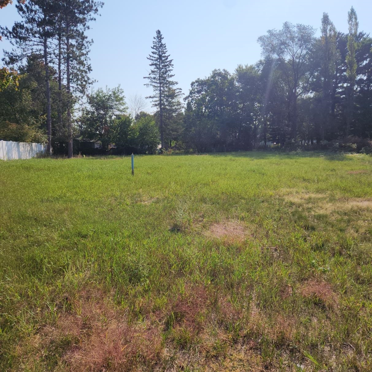 2036 Locust Street Stevens Point, WI 54481 - Photo 2 of 5