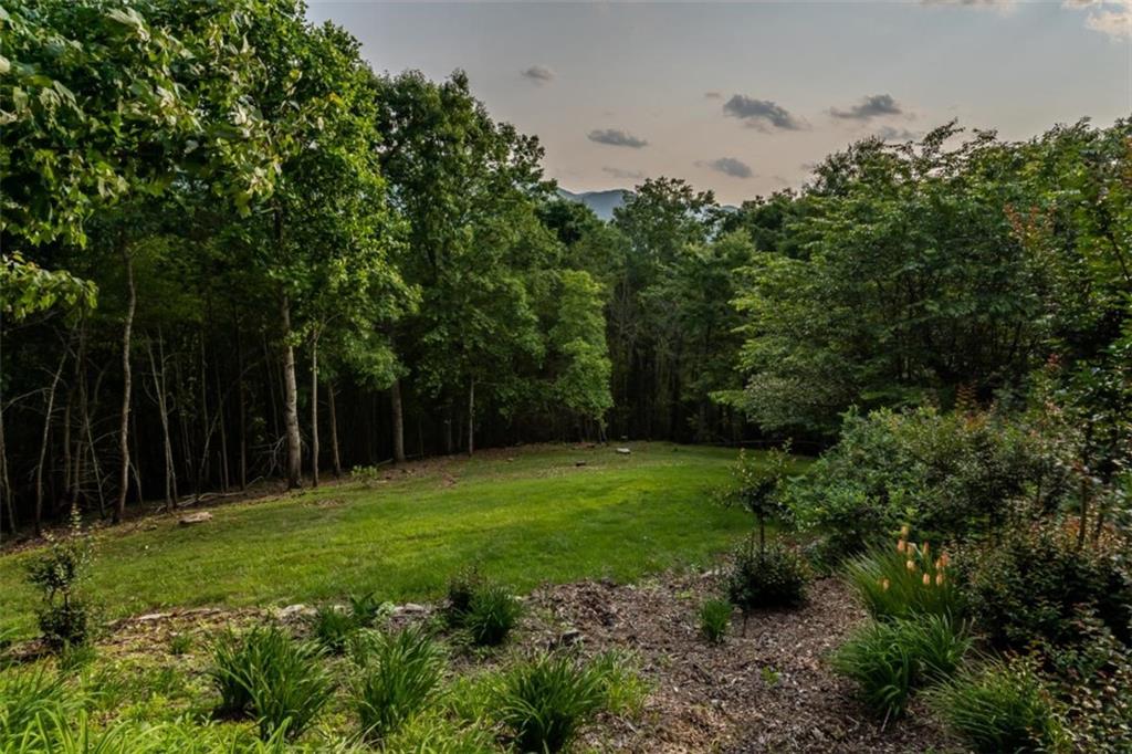 349 Moon Shadow View North Blairsville, GA 30512 - Photo 70 of 74 a view of a grassy field with trees in the background