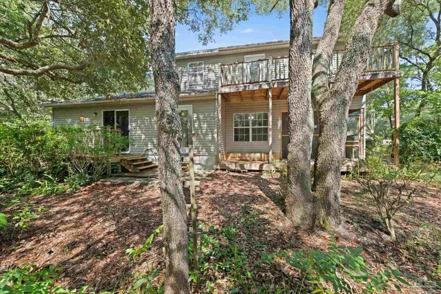 a view of a yard with large trees