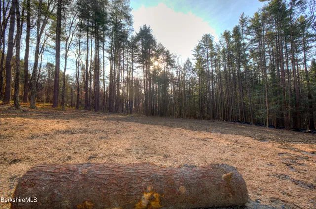 $220,000 | 13 Rattlesnake Mountain Road, Stockbridge, MA 01262