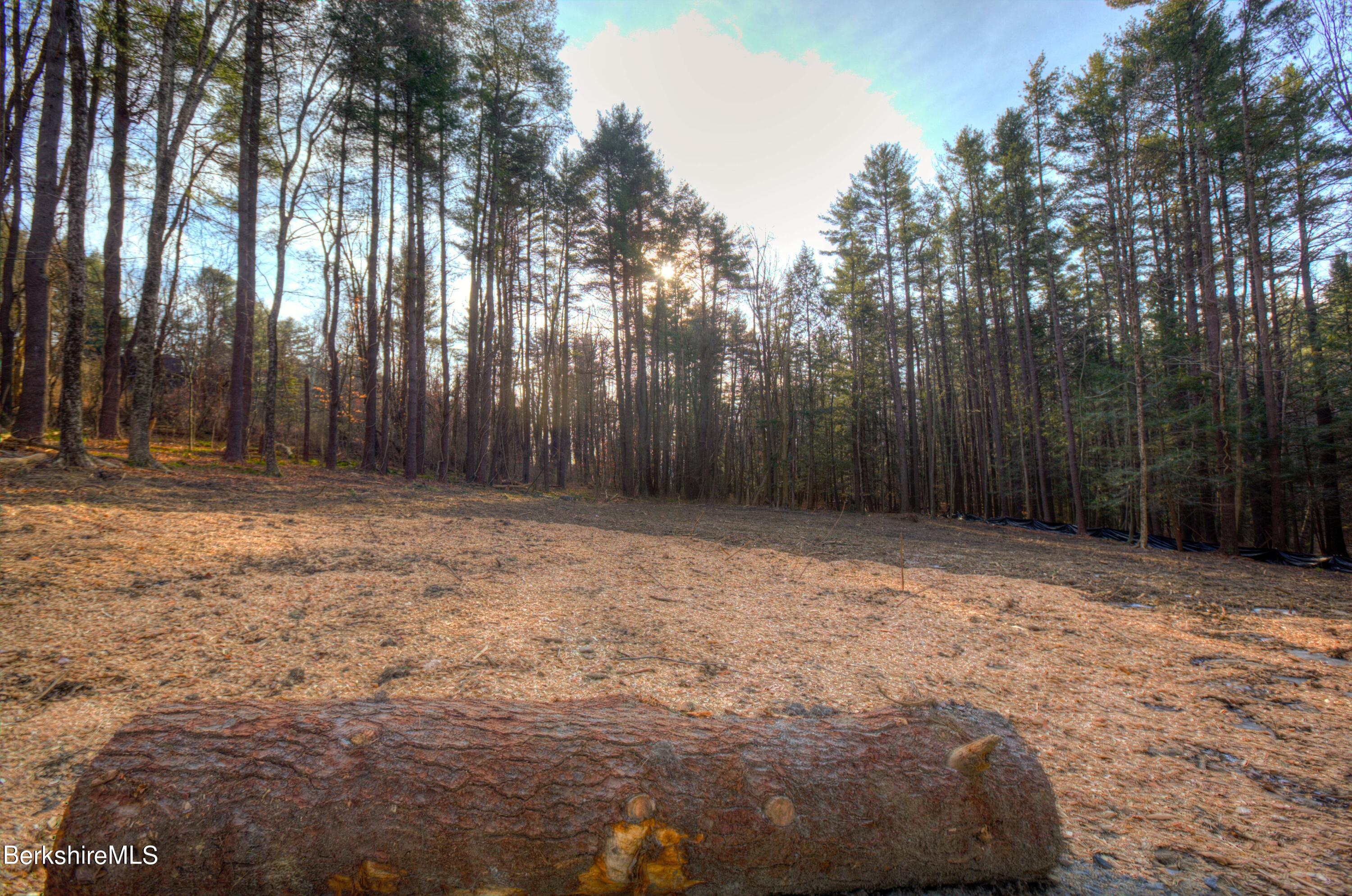 13 Rattlesnake Mountain Road Stockbridge, MA 01262 - Photo 13 of 24 13RattlesnakeMtnRd_10