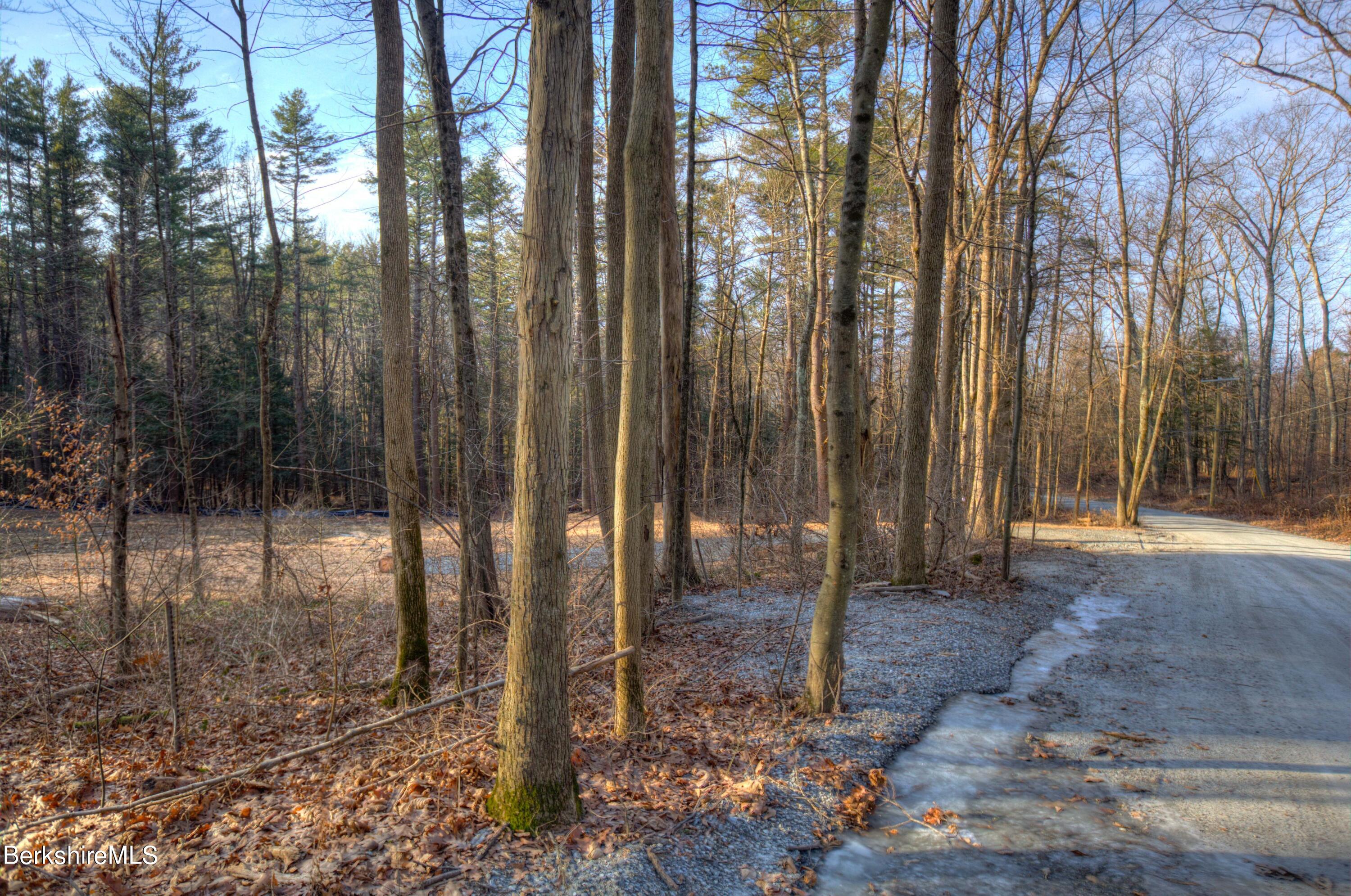 13 Rattlesnake Mountain Road Stockbridge, MA 01262 - Photo 15 of 24 13RattlesnakeMtnRd_12