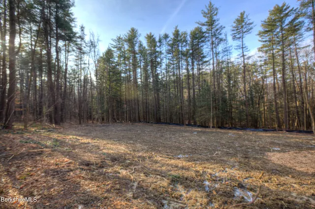$220,000 | 13 Rattlesnake Mountain Road, Stockbridge, MA 01262