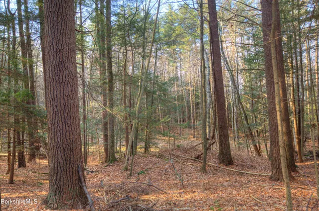$220,000 | 13 Rattlesnake Mountain Road, Stockbridge, MA 01262