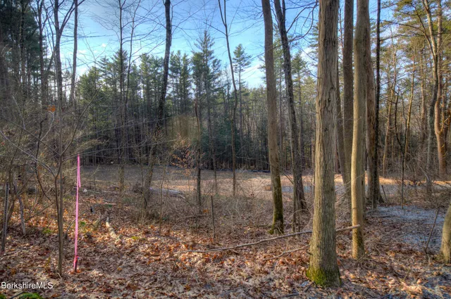 $220,000 | 13 Rattlesnake Mountain Road, Stockbridge, MA 01262