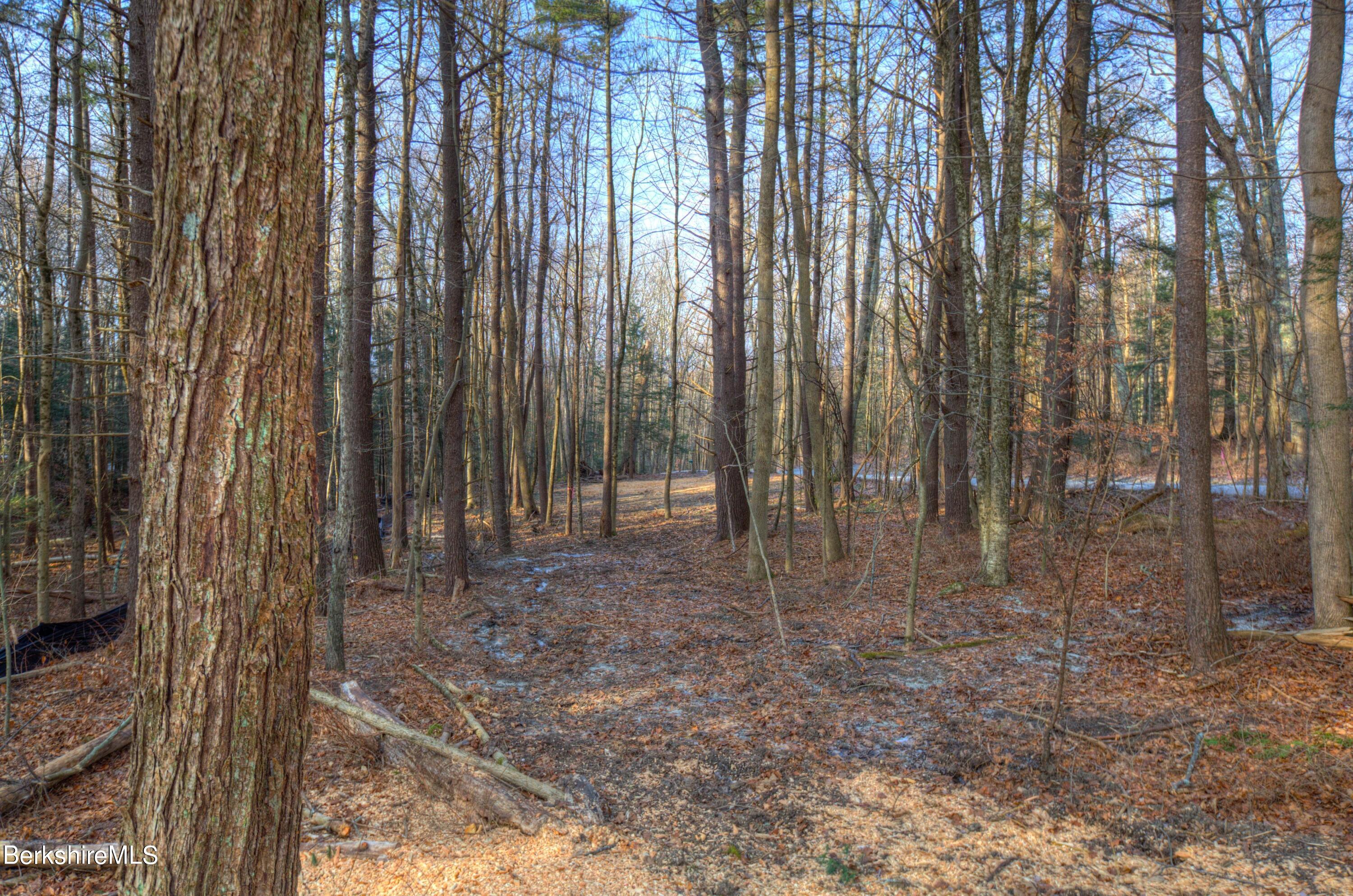 13 Rattlesnake Mountain Road Stockbridge, MA 01262 - Photo 20 of 24 13RattlesnakeMtnRd_20