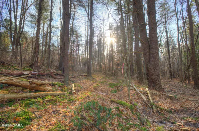 $220,000 | 13 Rattlesnake Mountain Road, Stockbridge, MA 01262