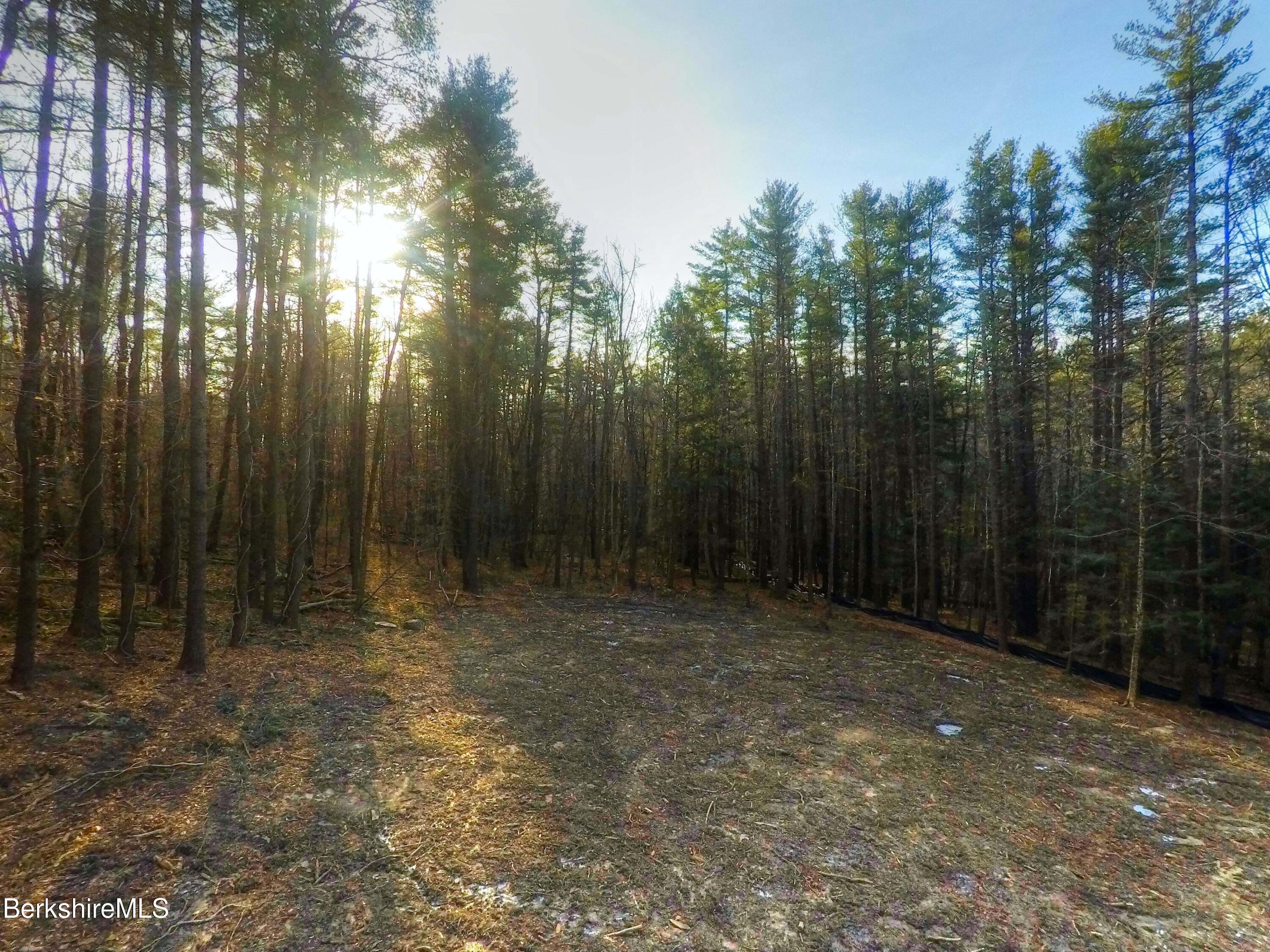 13 Rattlesnake Mountain Road Stockbridge, MA 01262 - Photo 24 of 24 13RattlesnakeMtnRd_23