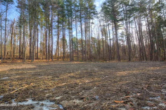 $220,000 | 13 Rattlesnake Mountain Road, Stockbridge, MA 01262