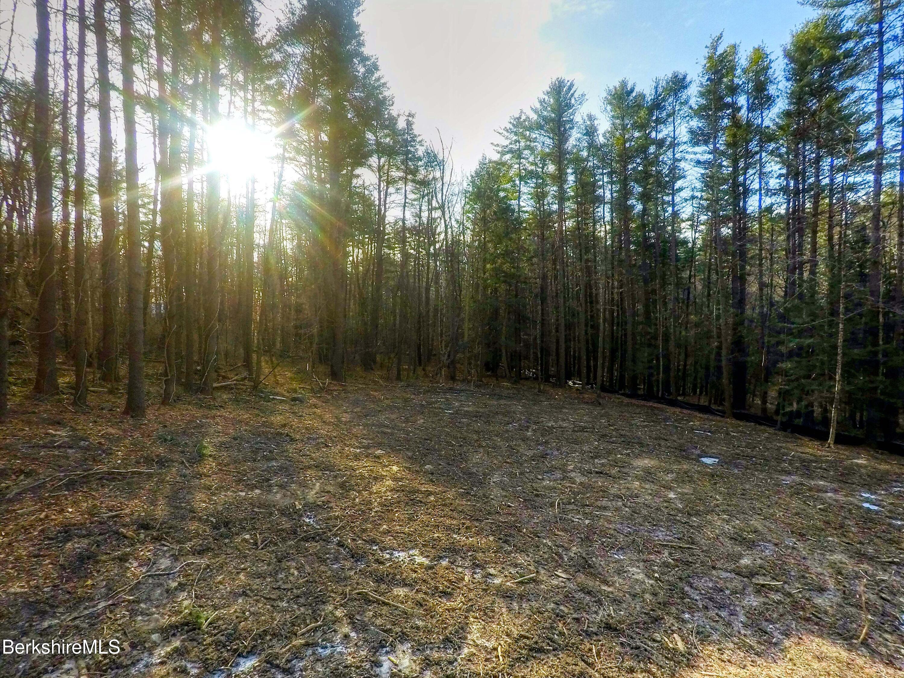 13 Rattlesnake Mountain Road Stockbridge, MA 01262 - Photo 6 of 24 13RattlesnakeMtnRd_5