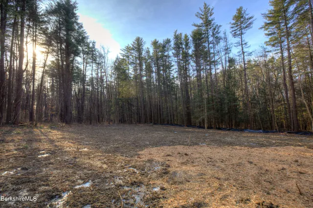 $220,000 | 13 Rattlesnake Mountain Road, Stockbridge, MA 01262