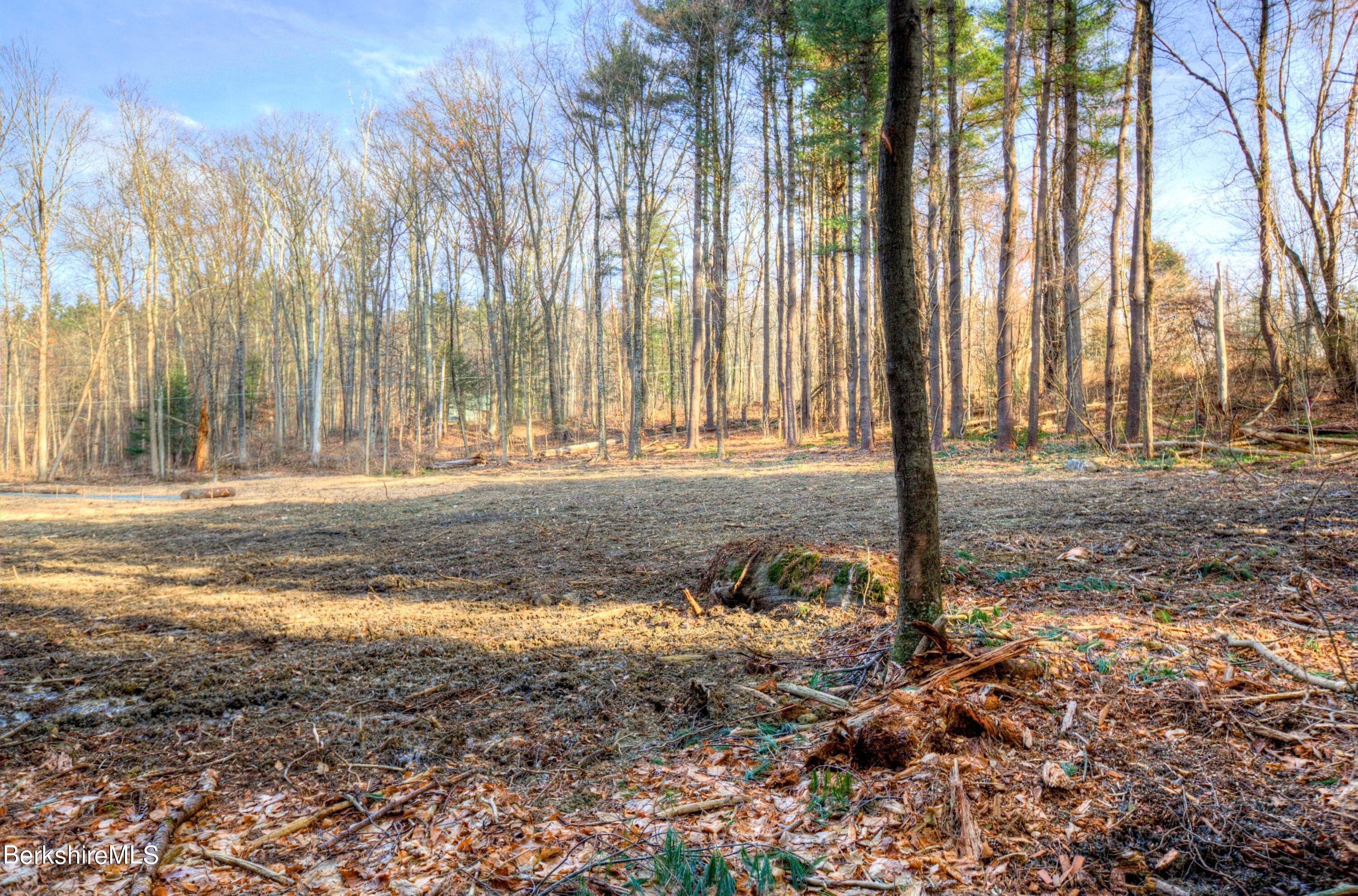 13 Rattlesnake Mountain Road Stockbridge, MA 01262 - Photo 9 of 24 13RattlesnakeMtnRd_7