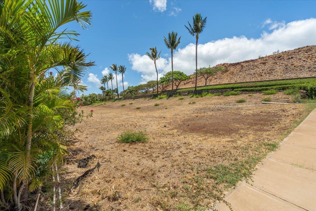 4 Anapuni Loop Lahaina, HI 96761 - Photo 15 of 44 a backyard of a house