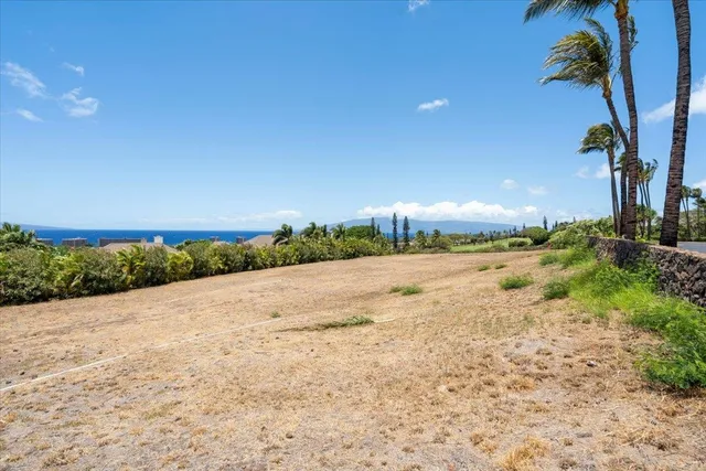 a view of a swimming pool with a yard and palm trees